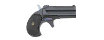 Remington Model 95