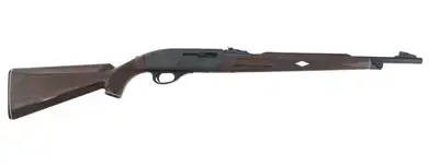 Remington Model Nylon 66