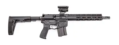 Wilson Combat Protector AR Pistol