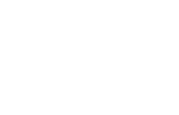 Ruger 