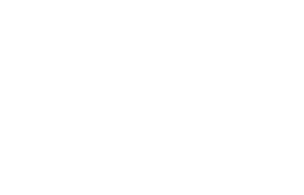 Beretta 