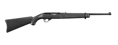 Ruger 10/22