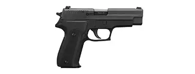 Sig Sauer P226