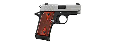 Sig Sauer P238