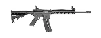 Smith & Wesson M&P15-22